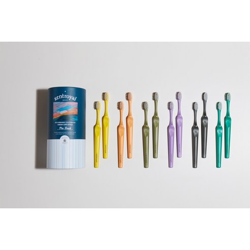 매일의 구강 관리 필수품