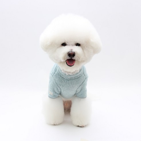 이츠독 강아지 솜사탕 티셔츠, 민트