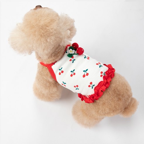 伴侶  寵物用品  小狗  貓  聯合使用  服裝  狗  狗  狗  狗