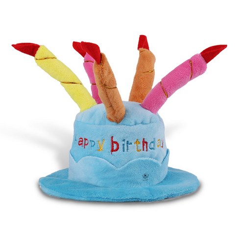 딩동펫 반려동물 생일파티 케이크 모자, 블루