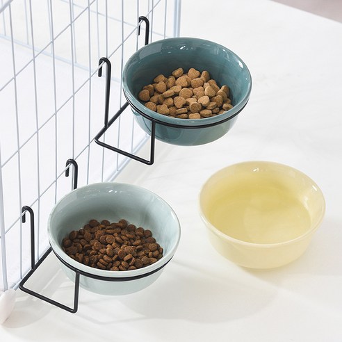 伴侶  寵物用品  小狗  貓  聯合使用  餐具  狗  狗  狗  狗