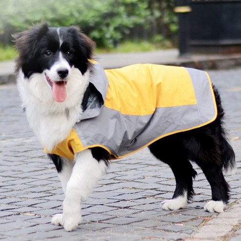 伴侶 寵物用品 小狗 貓 組合使用 服裝 雨衣 狗 狗 狗