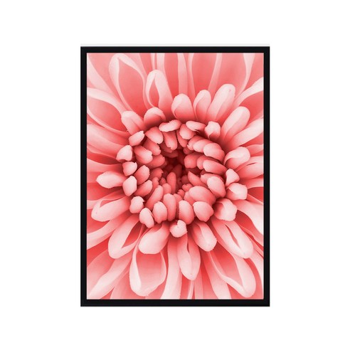 마벨인홈 인테리어 플라워아트 꽃그림 포스터 분홍꽃 + 우드액자, 블랙