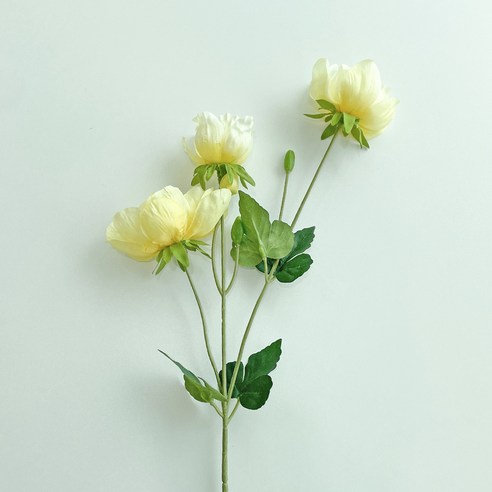 베누디 조화 아네모네, 옐로우, 1개