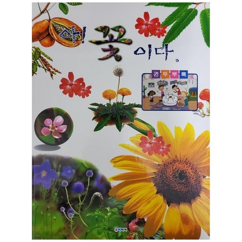 國產圖書圖書BOOK圖書圖書國產圖書兒童小學學習兒童幼兒小學生小學生小學生