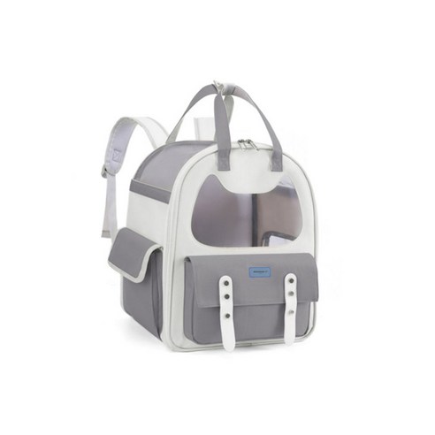 반려동물과 함께하는 즐거운 외출