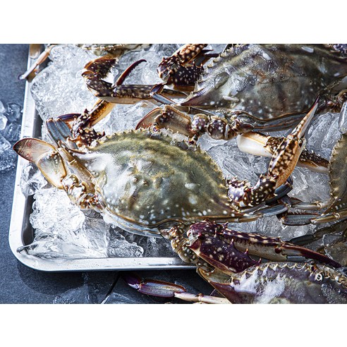 신선한 통발 햇꽃게로 맛있게 즐기세요.