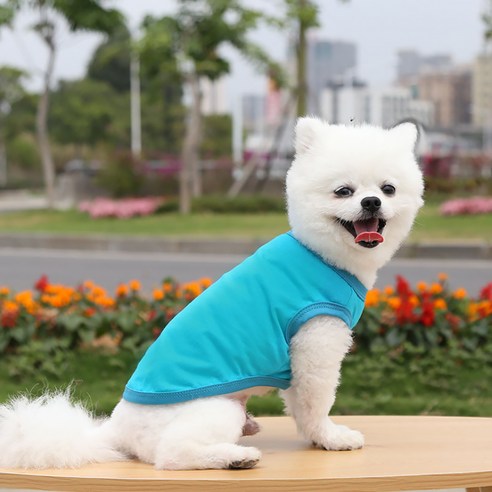 반려동물 알럽펫 민소매 평상복 면 조끼, 레이크블루