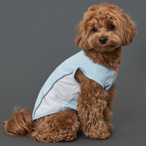 올여름, 도그아이 쿨링 아이스쿨티로 반려견에게 시원하고 안전한 여름을 선물하세요!