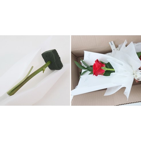 로맨틱한 선물과 아름다운 인테리어를 위한 모리앤의 생화 부담없는 1송이 꽃다발