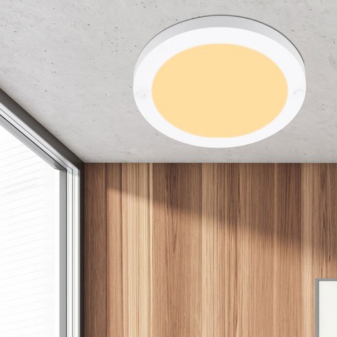 원하 DS LED 루다 플리커프리 원형 직부등 18W 22cm, 화이트 + 전구색, 1개