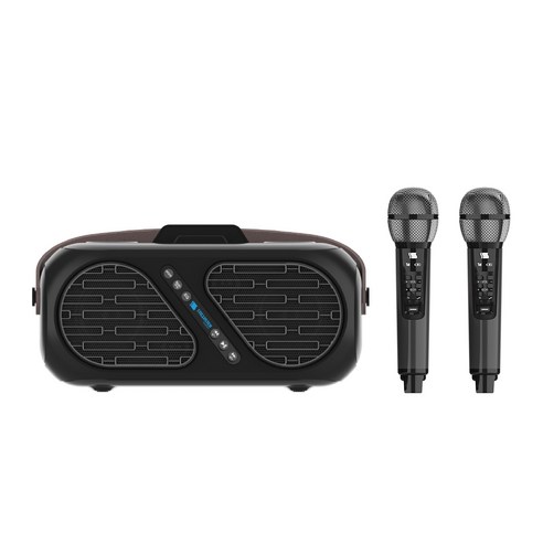 가성비 끝판왕! 듀얼 채널의 마법, 슈틸루스터 무선 듀얼 마이크로 홈 노래방 완성!