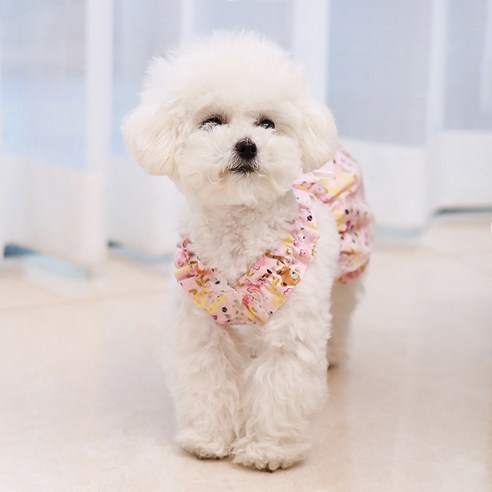 댕댕이 심쿵! 🌸 랜보어 스프링 프릴 원피스로 봄날의 낭만을!