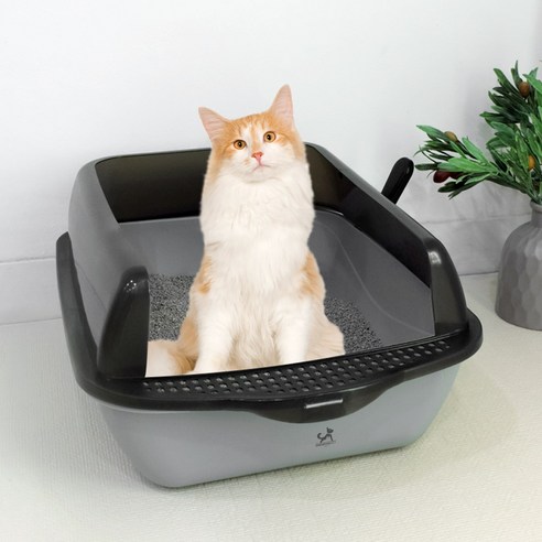 딩동펫 고양이 베이직 반투명 샌딩 화장실 모래삽 세트, 그레이, 1세트