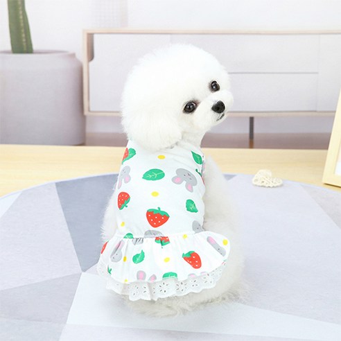 반려동물 도그도그 토끼딸기봄 레이스 강아지 원피스, 화이트