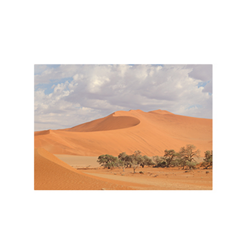감성 아트웍 디자인캔버스 A네츄럴 포토라인 A-18 사막가운데에서