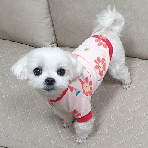 도기코디 해바라기 강아지 티셔츠, 핑크
