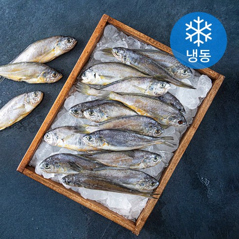 다미원 영광 법성포 대용량 굴비 20미 (냉동), 1.9kg(20미), 1개
