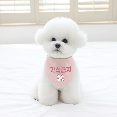 리토가토 반려동물 간식금지 스카프 M, 핑크, 1개