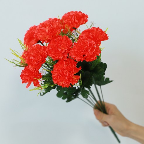 아름드리몰 조화 카네이션, 주황