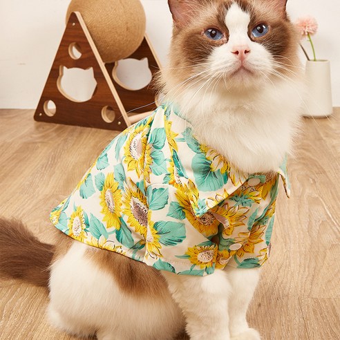 伴侶  寵物產品  小狗  貓  組合使用  服裝  T卹  狗  狗  狗