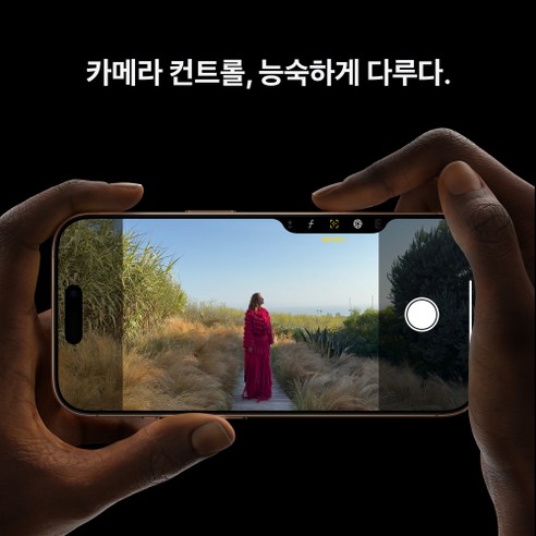 Apple 정품 아이폰 16 Pro 자급제, 화이트 티타늄, 256GB