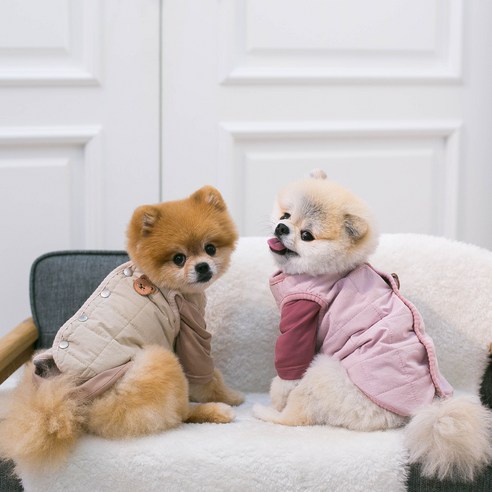 伴侶  寵物產品  小狗  貓  聯合使用  服裝  外衣  狗  狗  狗