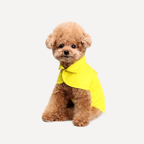 허츠앤베이 강아지 쿨조끼, 옐로우, 1개