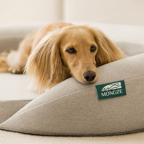 반려동물을 위한 편안하고 안전한 휴식 공간