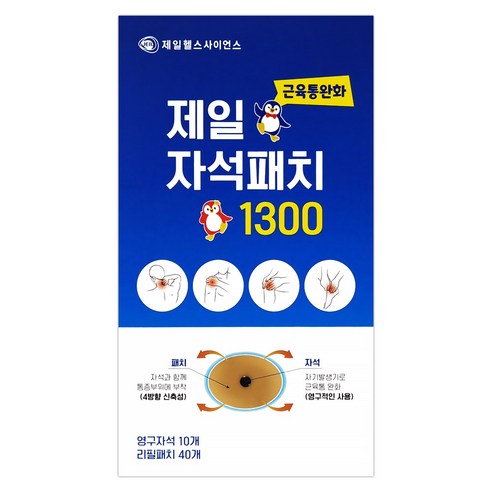 제일헬스사이언스 자석패치 1300 근육통완화 자석파스 영구자석 10p + 리필패치 40p 세트, 1세트