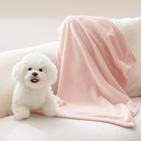 伴侶  寵物用品  小狗  貓  聯合使用  毯子  狗  狗  狗  狗