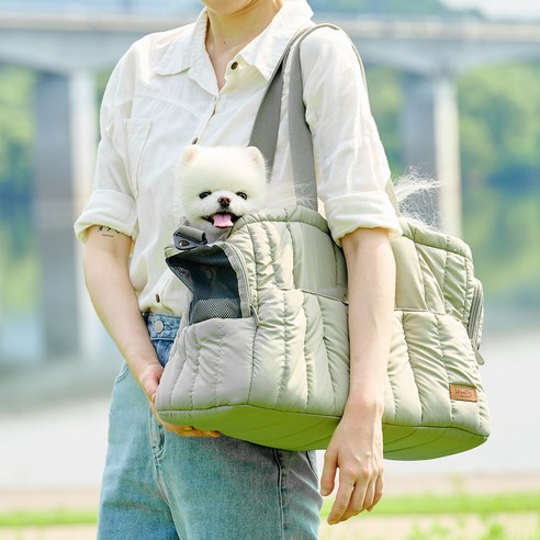 울리 이동가방, 댕댕이와 냥이를 위한 최고의 동반자!