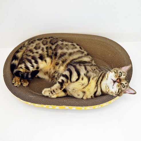 냥이마트 고양이 튼튼하고 아늑한 타원형 스크래쳐 대형 쇼파 침대, 원형 스크래쳐