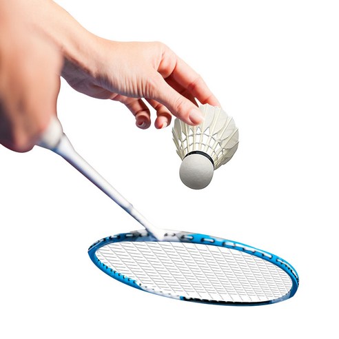 스타존 초보자 레저용 No 9 깃털 배드민턴 셔틀콕은 높은 비행 속도와 정확성을 제공하는 고품질 셔틀콕입니다.