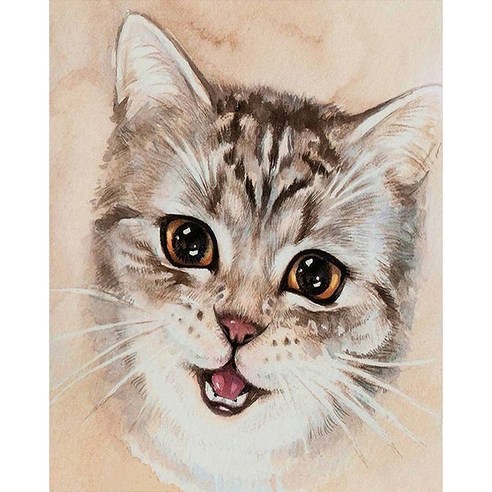 더웨일 DIY 유화 명화그리기 50 x 40 cm 고양이, 야옹 큰 눈망울 고양이, 1개