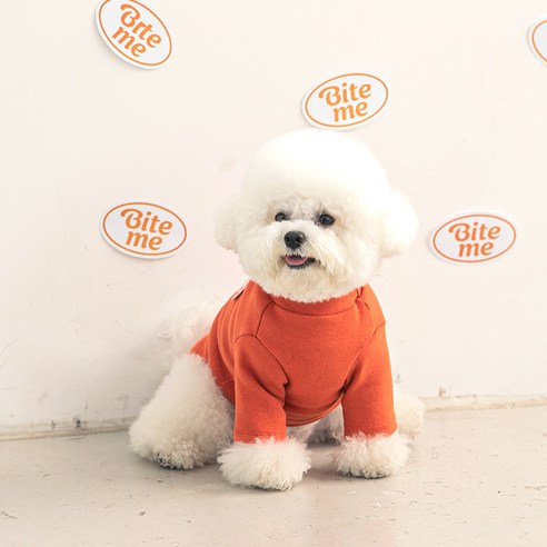바잇미 강아지 찹쌀떡 하이넥 티셔츠, 브릭