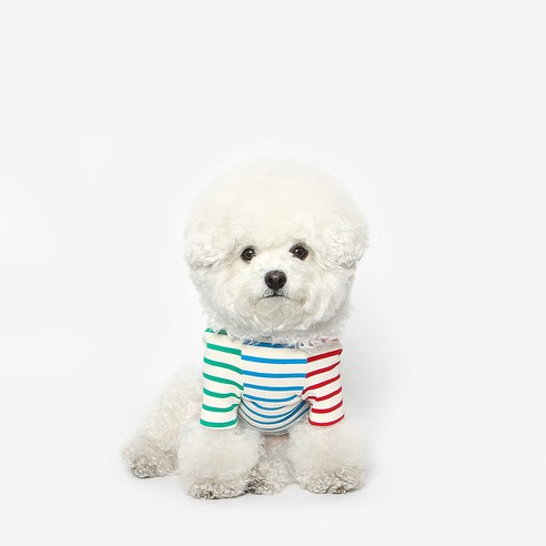투스투스 강아지 컬러블럭 스트라이프 티셔츠, 블루