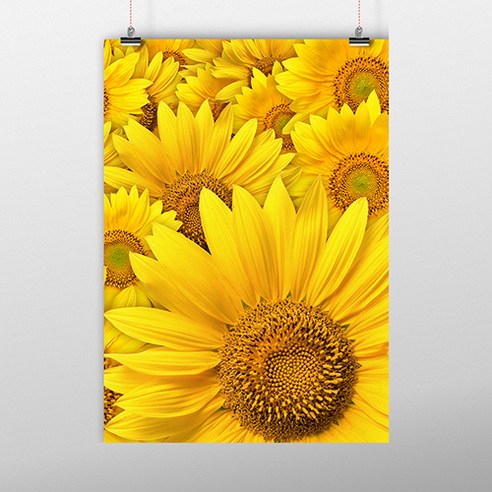 더 아트컴퍼니 풍수그림 13 선플라워 향연