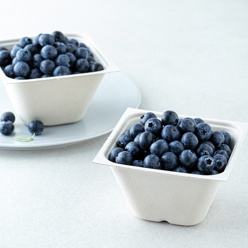 아주마 GAP 인증 산지직송 인디고 블루베리, 2개, 250g