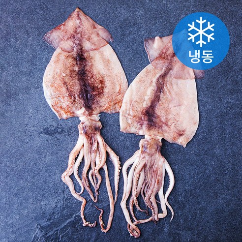 빅마마 손질 오징어 (냉동), 400g(2미), 1개