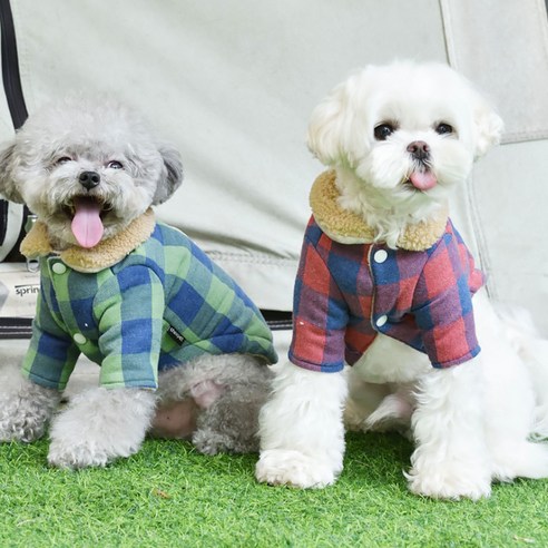 伴侶  寵物產品  小狗  貓  聯合使用  服裝  外衣  狗  狗  狗