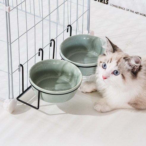 伴侶  寵物用品  小狗  貓  聯合使用  餐具  狗  狗  狗  狗