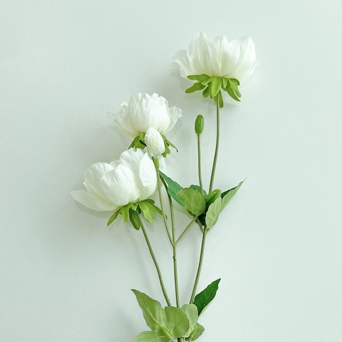 베누디 조화 아네모네, 화이트, 1개
