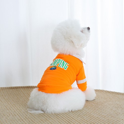 에이미러브즈펫 강아지 CC 캠핑 카라 티셔츠, 오렌지
