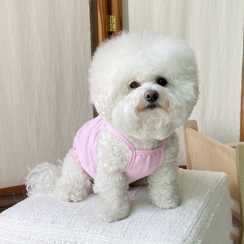 바이담수미 강아지 잔체크 벌룬나시, 핑크