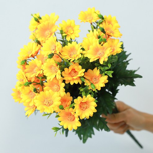 아름드리몰 조화 버튼데이지, 노랑