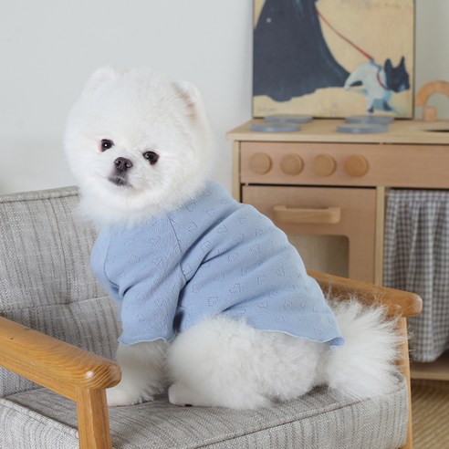 에이미러브즈펫 강아지 VA 하트펀칭 티셔츠, 블루