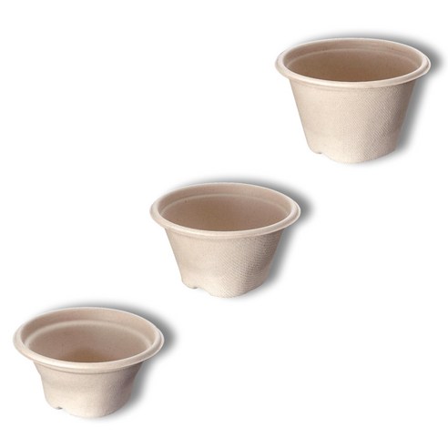 시간 절약, 고품질, 빠른 배송: 케이비팩 펄프 용기로 외식업 경영 효율 UP!