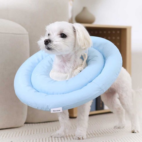 반려동물의 안전과 건강을 위한 두유레디 넥카라