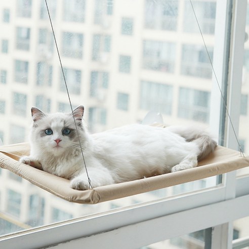 예홈펫 고양이 창문 해먹 방석, 아이보리, 1개